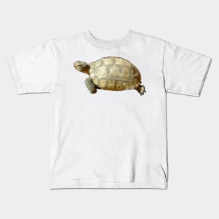 Tortoise Kids T-Shirt